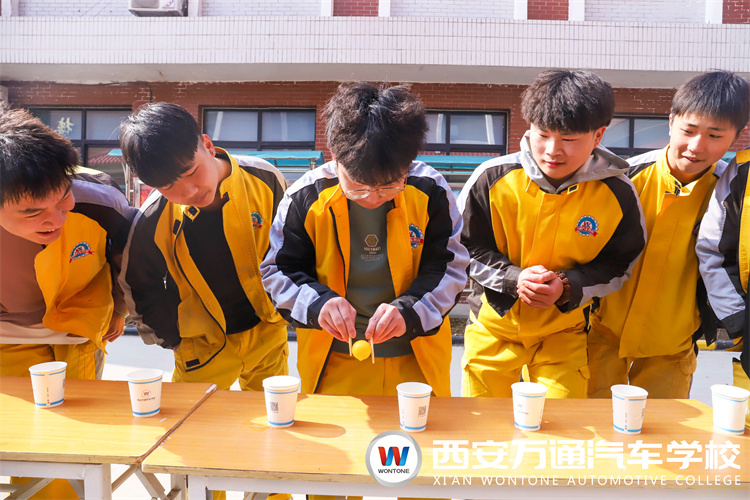 新學期，萬通新生開展素質拓展，團結力量,斗志昂揚